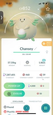 Pokemon Go Shiny Chansey (XXL)