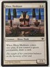 Rhox Meditant - Conflux - Magic the Gathering MTG Nice!