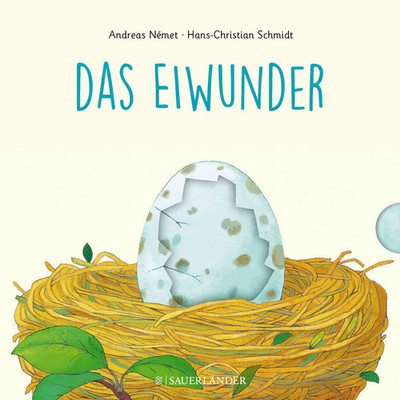 Das Eiwunder | Hans-Christian Schmidt | Buch | Wunder | 12 S. | Deutsch | 2018