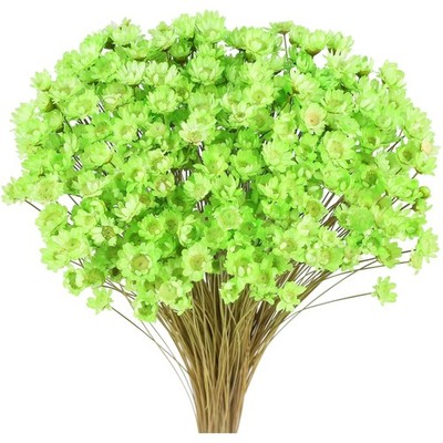 getrocknete Blumen Blumenstrauß Trockenblumen Mini Gänseblümchen Hochzeit Dek...