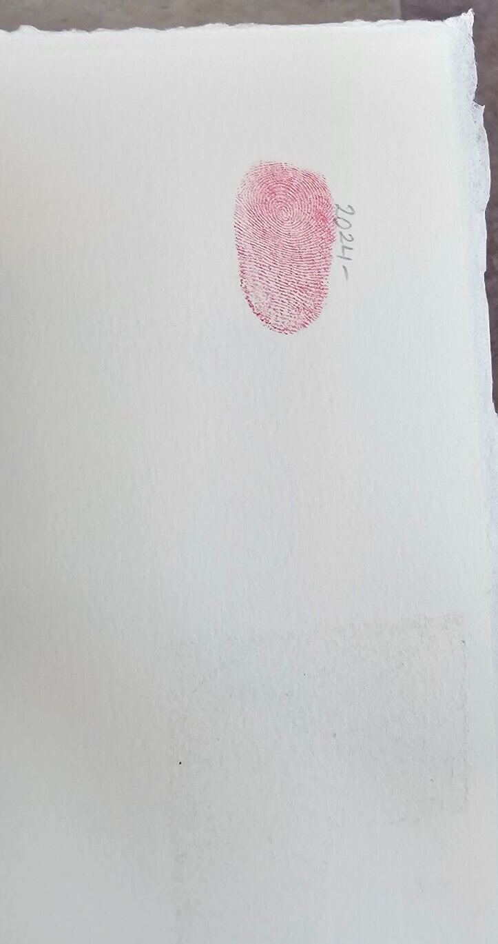 Picture 8 of 19