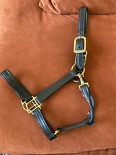 Walsh (branded Mary's) COB Padded Dressage Leather Halter BLACK/BRASS FREE SHIP