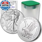 2024 Lot of (10) 1 Oz American Eagle Silver Bullion Coins Brilliant...