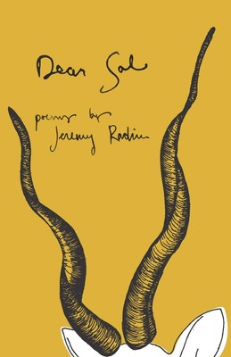 Dear Sal by Jeremy Radin (English) Paperback Book