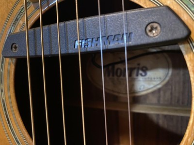 Morris W35 (エレアコ仕様) 音出しOK Morris モーリス 縦ロゴ W-35 ピックアップ追加