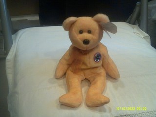 Vtg. Ty Beanie Baby Sunny the e Bear org tags DOB 2/13/2000