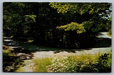 1960s The Horseshoe Bend Lake Shore Drive Northern MI Postcard