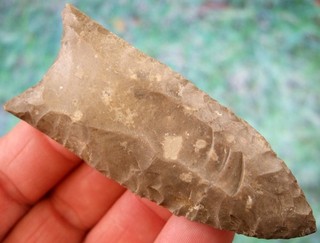 Super Fine 3 1/8 inch G10 Tennessee Clovis Point with COA Arrowheads Artifacts