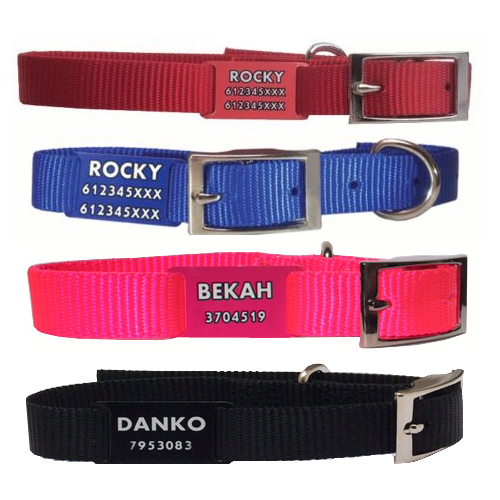 Collar para Perros de Nylon + Placa Deslizante. Mascotas, animales