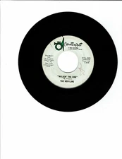 The New Lime Rock N' Roll 45 (COUNTERPART 2495) Walkin' The Dog/Meant To Be 