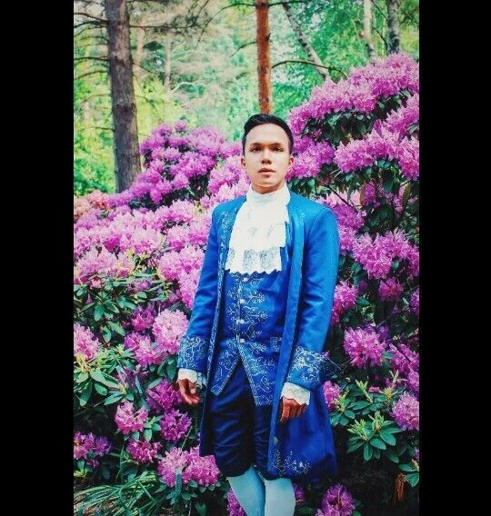 La Bella y la Bestia Dan Stevens Prince Disfraz de Disfraz Uniforme Azul Conjunto Completo Foto 2 de 4