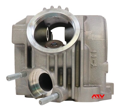 HEAD RAPTOR 80RS 273mm レーシングモデル Genuine New Raptor 80 Moto-4 Badger 80 Cylinder Head Valves