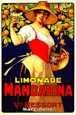Bar Lemonade Lemon Fruit Mandarina Art Wall Indoor Room Poster - POSTER 20x30