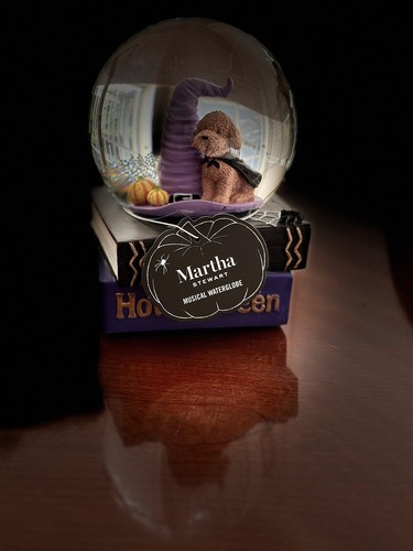 Martha Stewart Halloween 12" Kristall musikalische Hundekugel Kürbis Shake It gruselig - Bild 3 von 8