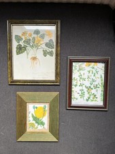 3 vintage Green Brown yellow floral botanical framed pictures gallery wall art