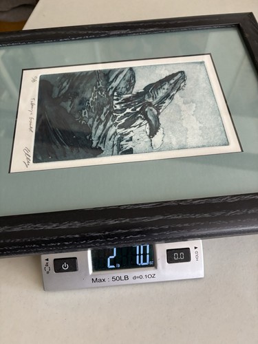 Buckelwal durchbrechender Ozean Original Kunstdruck limitiert signiert - Bild 14 von 23