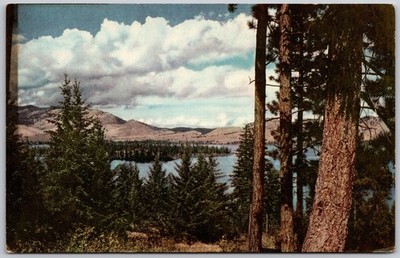 Union Oil Flathead Lake Montana Vintage Scenic Postcard 1940s