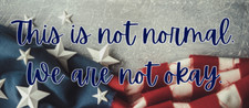 Anti Trump And Reublican Agenda Bumper Sticker Or Magnet.