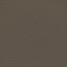 Lexus Sepia Leather Dye