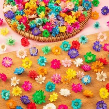 200 Pcs Mini Dried Flowers for Resin, Tiny Natural Real Dried Pressed Flowers