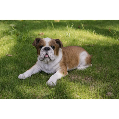 Lying English Bulldog  Garden Lawn Patio Realistic Statue  Brown White Large