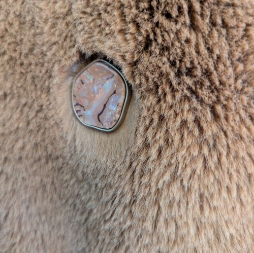 Emilia George Annabette Women's Camel Brown Faux Fur Teddy Maternity Coat size L - Picture 10 of 14