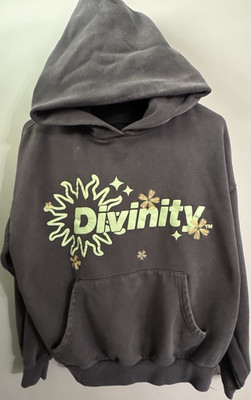 PacSun Divinity Gray Graphic Print Unisex Pullover Hoodie w/ Kangaroo Pocket