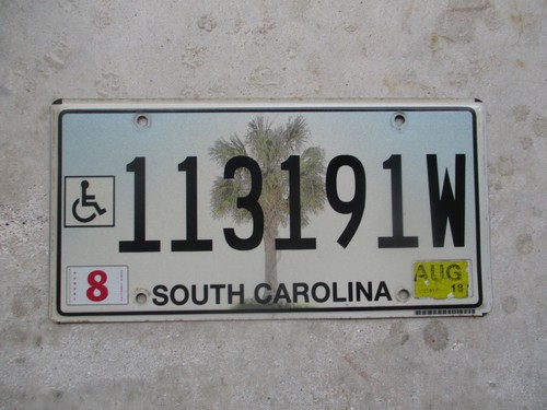 South Carolina 2018 license plate # 113191 W