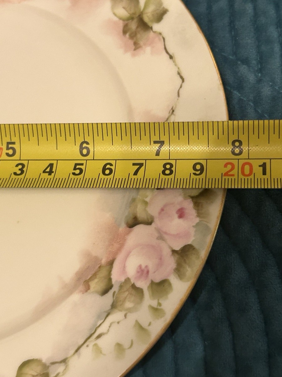 M-Z Austria Antique Hand Painted Rose Cup, Saucer & Snack Set