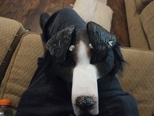Bernese Mountain Dog Therian/Furry mask