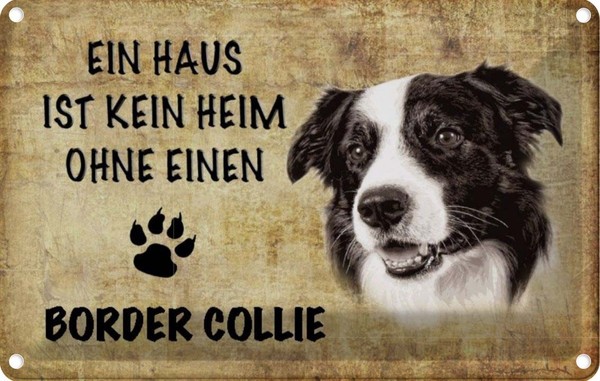 Blechschild 12X18 Cm Border Collie Hund Tier Haustier Deko Geschenk Metall Schil-image