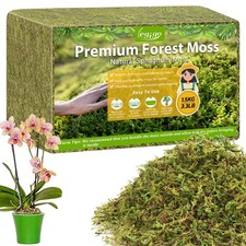 Sphagnum Moss 3.3LBS 60QT for Orchids, Succulents, Reptiles, Indoor Plants