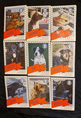US Customs Canine Enforcement - Complete 81 Trading Card Base Set SEALED - Dogs