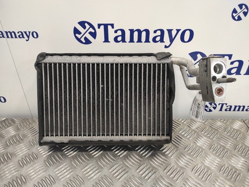 U6984002 VERDAMPFER DER KLIMAANLAGE / P1312001 / 1047052 FÜR CHRYSLER GRAND VOYA