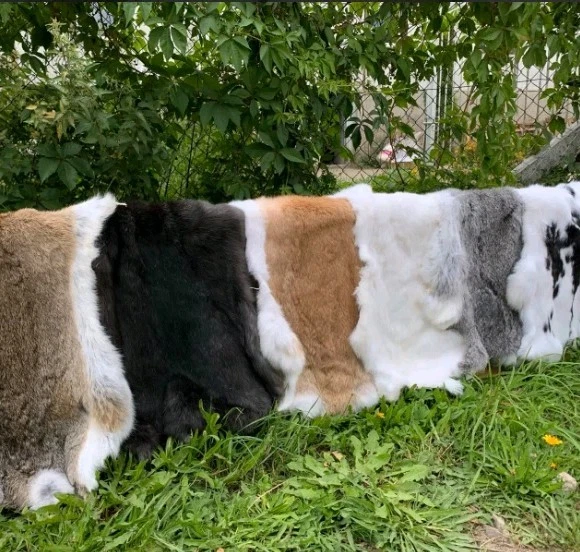 5x Naturfelle im Set – Schaffell, Ziegenfell & Kaninchenfell – B-Ware – Deko - Bild 4 von 4