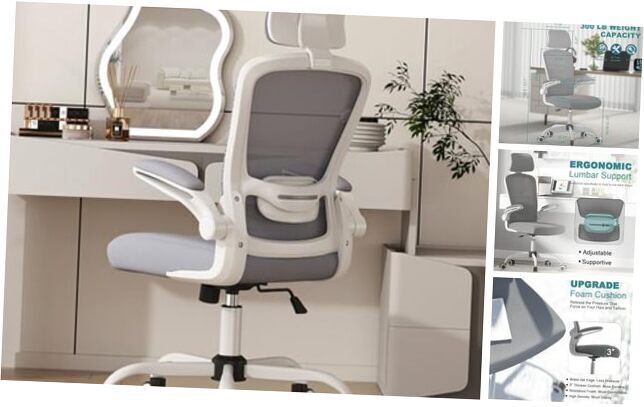 Office Chair, High Back Ergonomic Desk Chair with Adjustable Moon Grey Modern