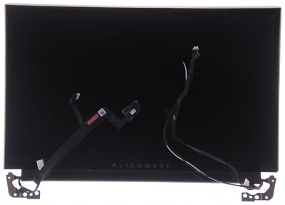DELL Alienware Area-51m FHD NTS BB Matrix Klappe