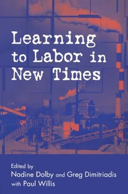 Arbeiten lernen in neuen Zeiten Nadine Dolby Neues Buch 9780415948555