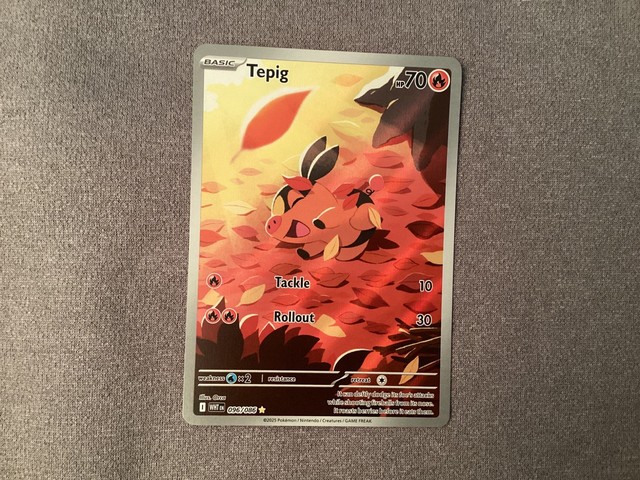 Tepig #96 (White Flare (2025))