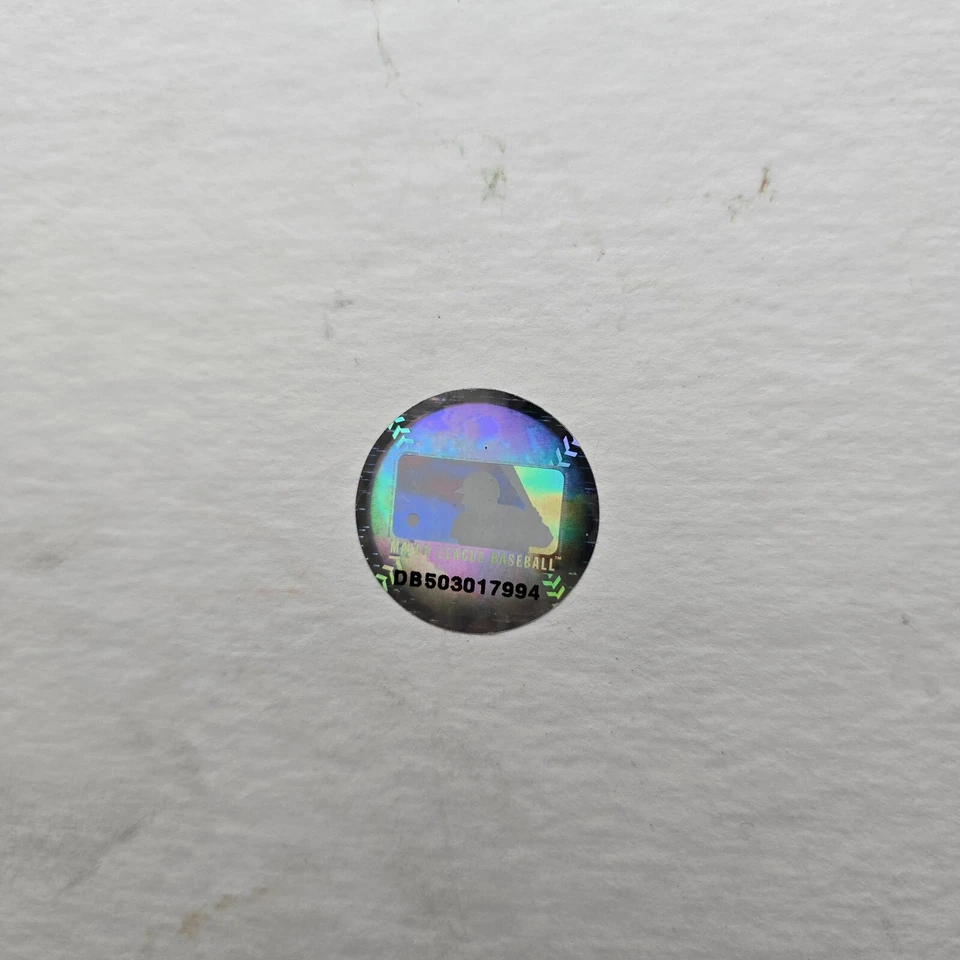 Placa de pared Detroit Tigers Comerica Park 0147/2500 edición limitada Highland como nueva Foto 4 de 4