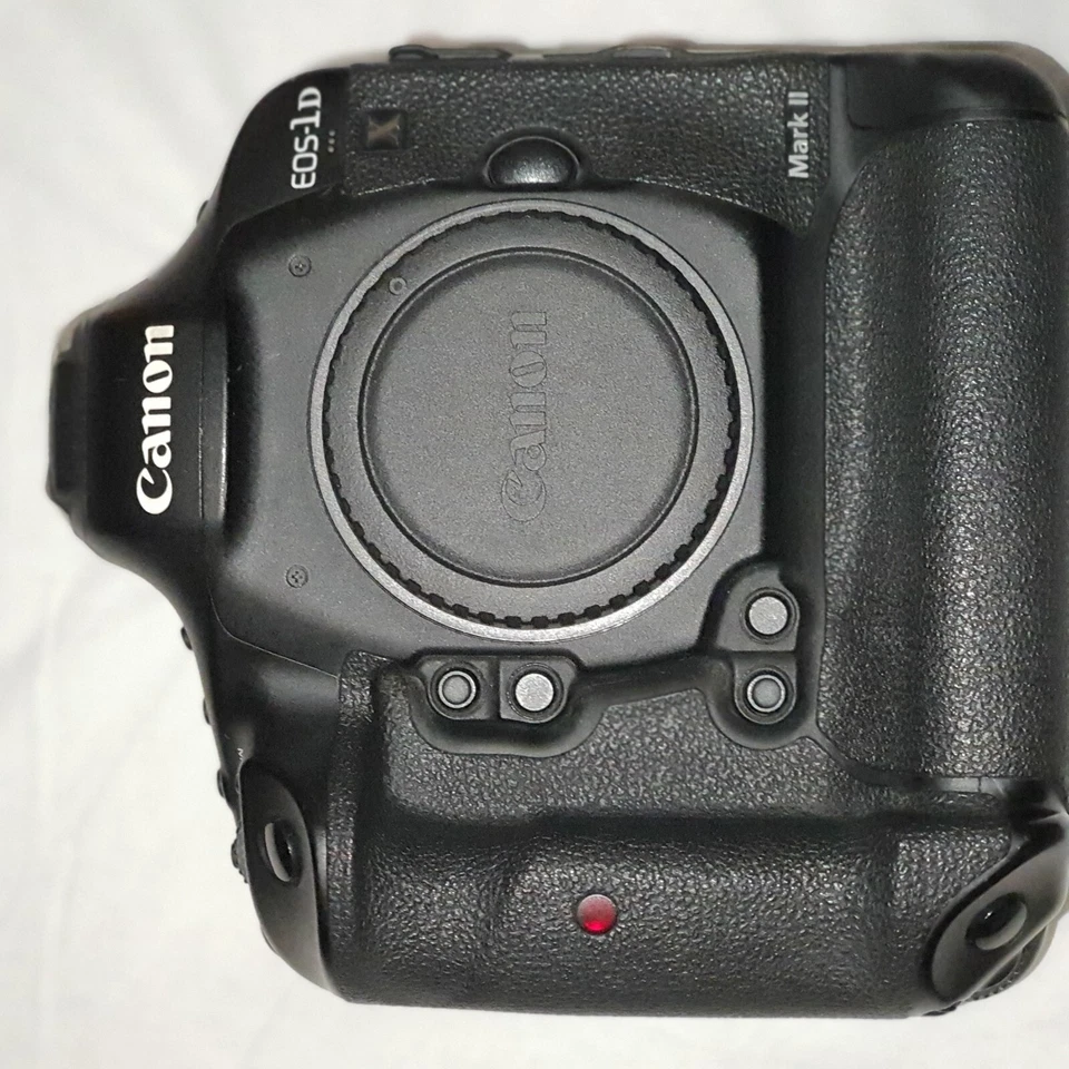 Canon EOS-1D X Mark II, foto 3 di 5