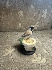 The Hse Sparrow  No 11 By Andy Pearce/ Magazine