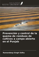 Ramandeep Singh Sidhu | PrevencióN Y Control De La Quema De Residuos De...