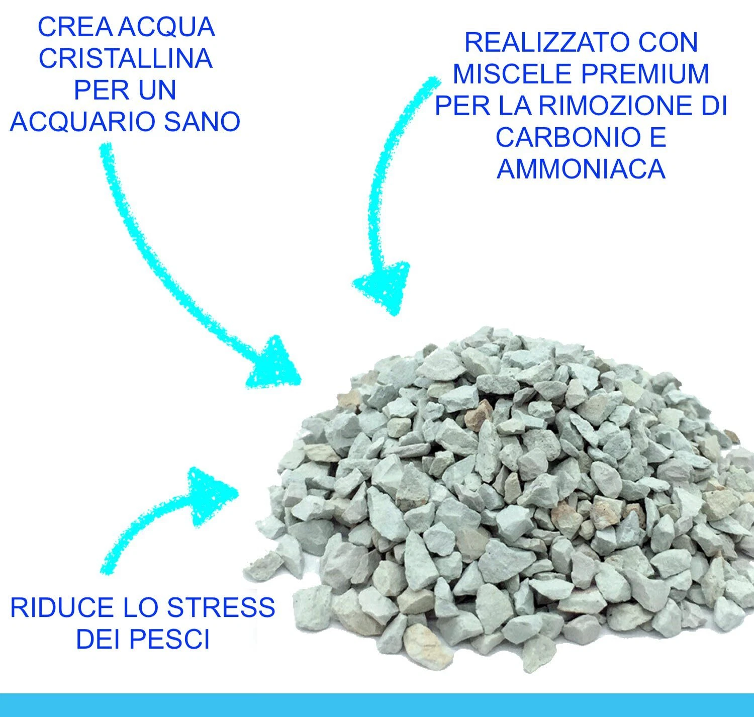 Foto 5 di 6