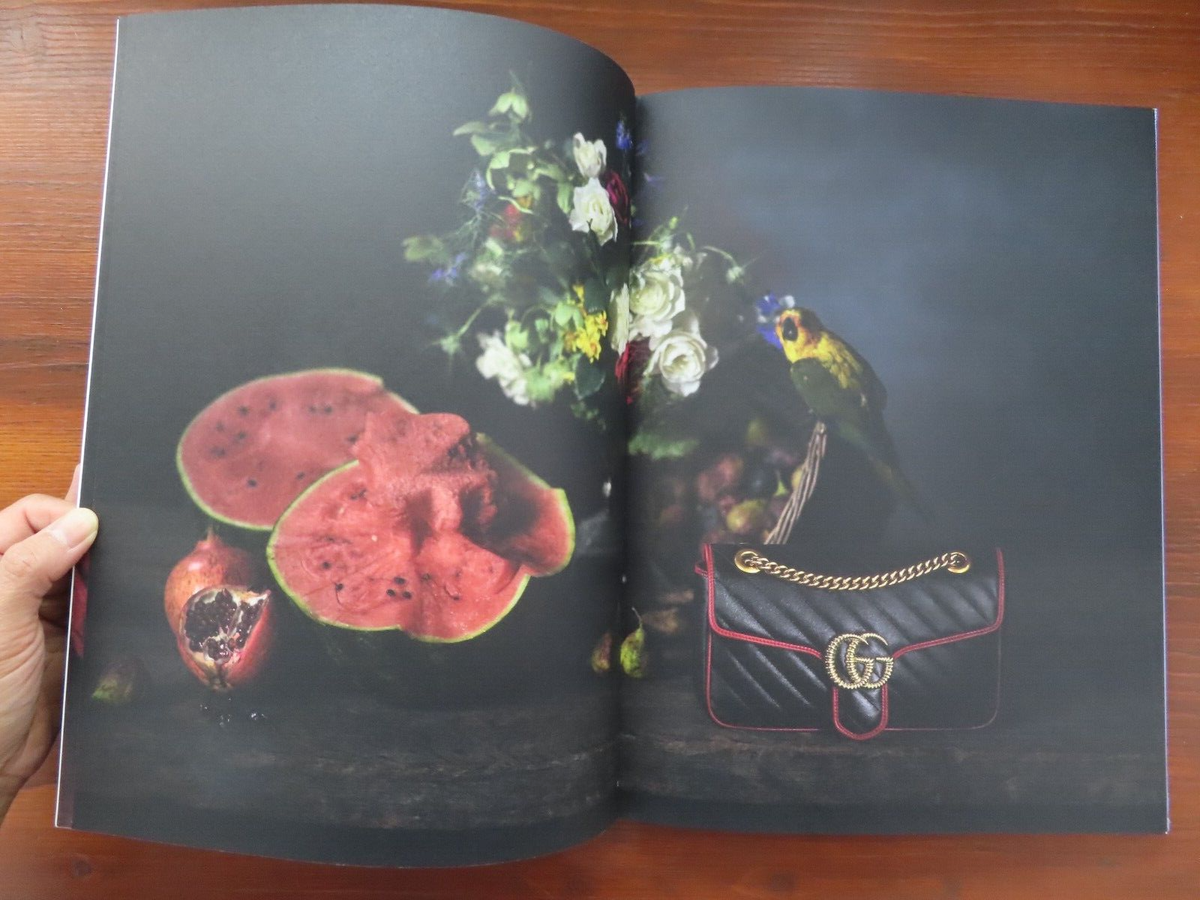 2019 Gucci Marmont Handbag Still Life Look Book Catalog Photos by