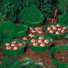 Bulb Planting Baskets Flower Bulb Planter Tulip Daffodil Garden Basket