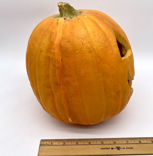 Trendmasters Light Up Pumpkin Jack O Lantern 1995 Vtg Halloween Foam Mold 10” - Picture 15 of 15