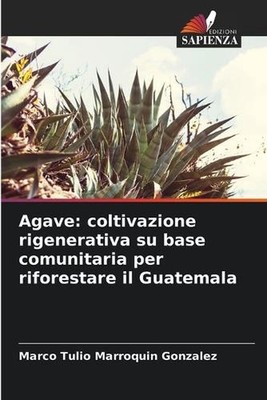 Agave: coltivazione rigenerativa su base comunitaria per riforestare il Guatemal