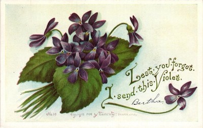 1909 Vintage Violet Flower Postcard by Leola Wey  Unposted