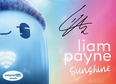 LIAM PAYNE SIGNED ONE DIRECTION SINGER SUNSHINE ART CARD - ACOA COA
